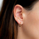 Small Hoop Earrings