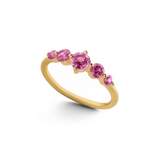 Five Stone Statement Birthstone Ring