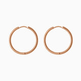 Small Hoop Earrings
