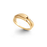 Mind The Gap Ring