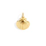 Shell Charm