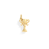 Trophy Charm